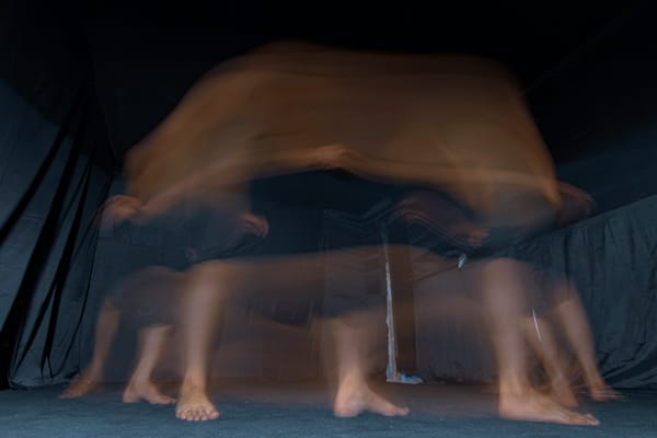 When Philosophy Becomes a Trap: The Case for Embodied Wisdom